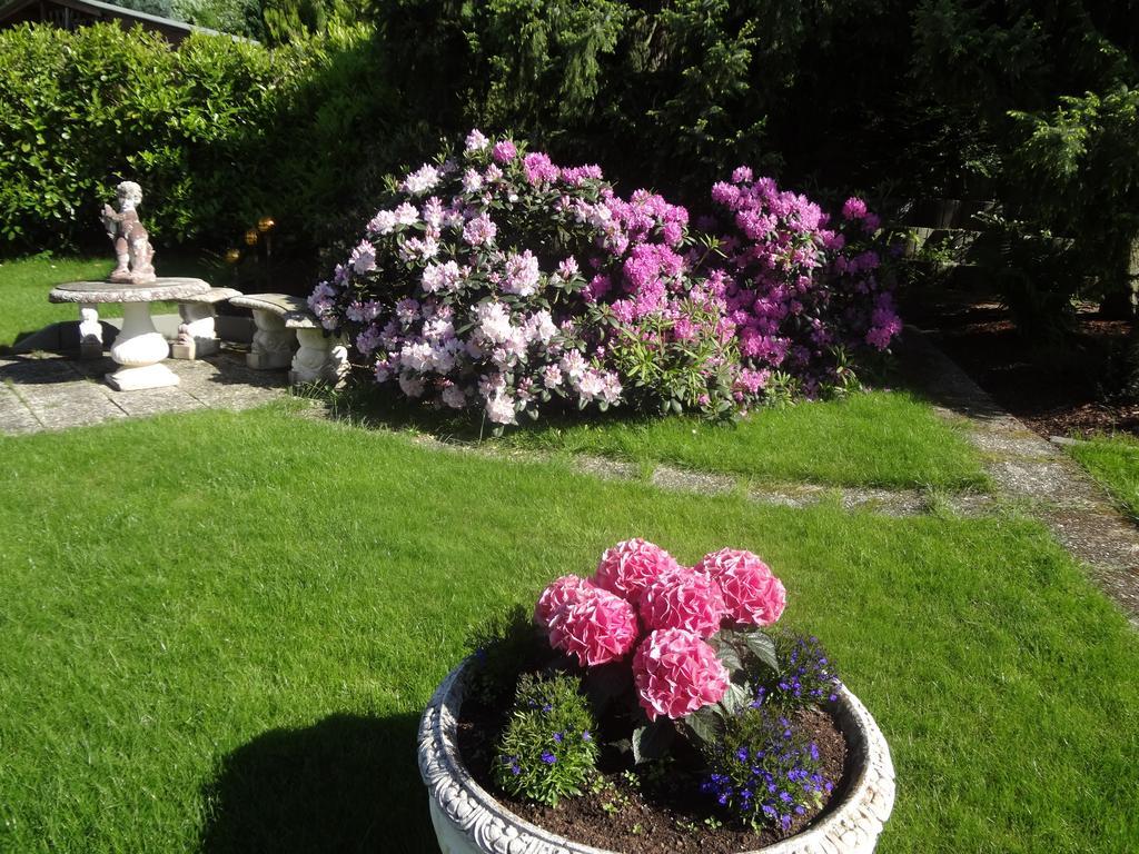 Gaestehaus Am Ahornweg برنكاستيل كويس الغرفة الصورة